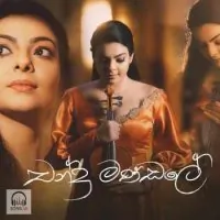 Chandramandale Reply Song by Abhisheka Wimalaweera – Sinhala song cover